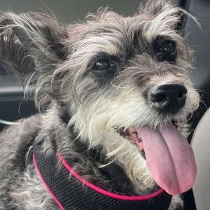 Meet your Posher, Megan jayne